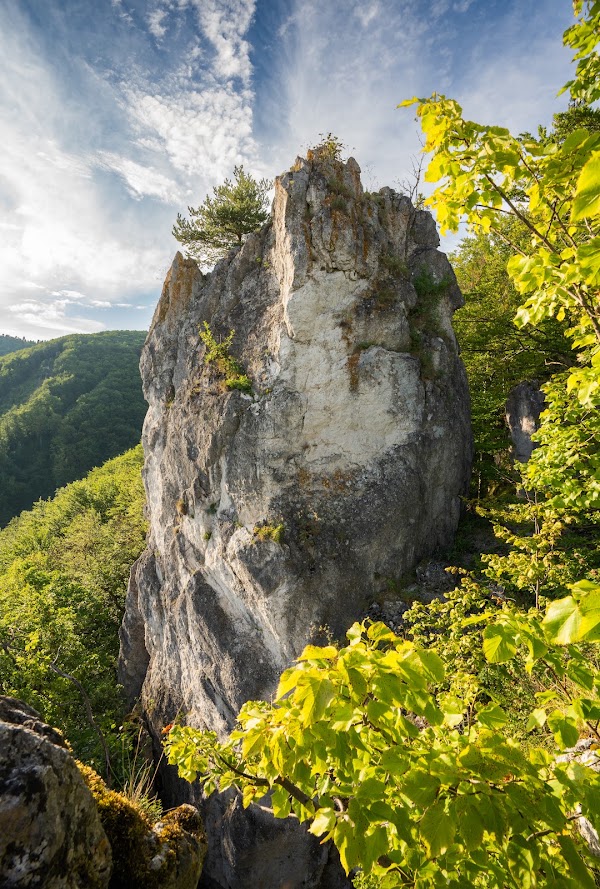 sunny rocks