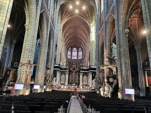 St Bavo's Cathedral