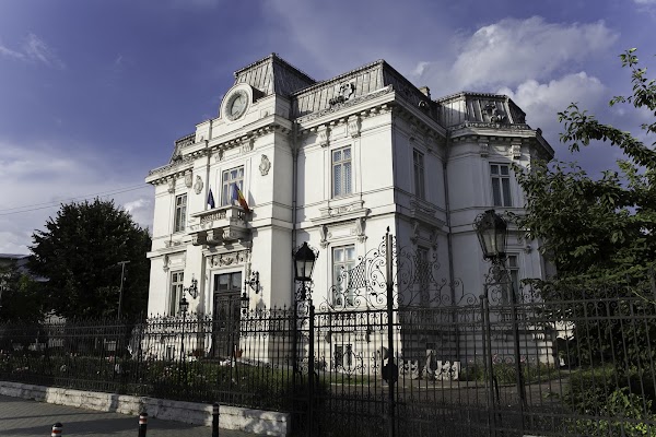 "Ion Ionescu Quintus" County Museum of Art
