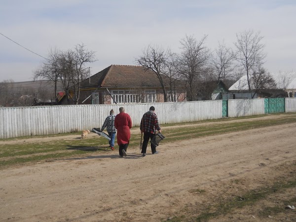 Codăești