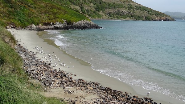 Pilots Beach