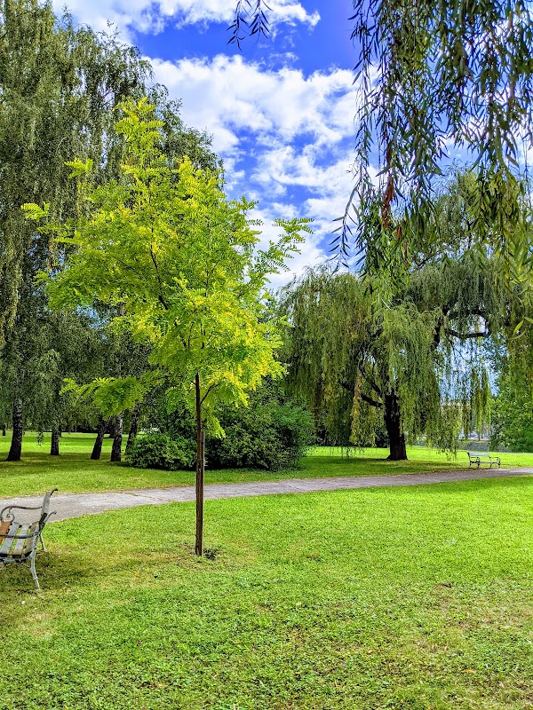 Kamberovića polje