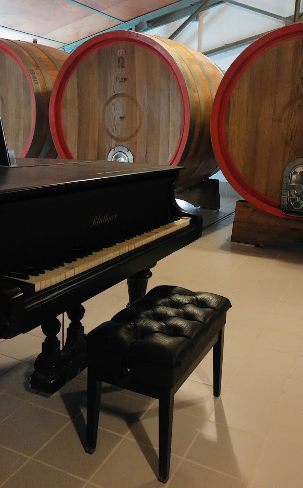 Corvus Vineyards