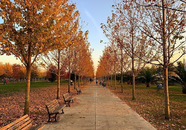 Maltepe Orhangazi City Park
