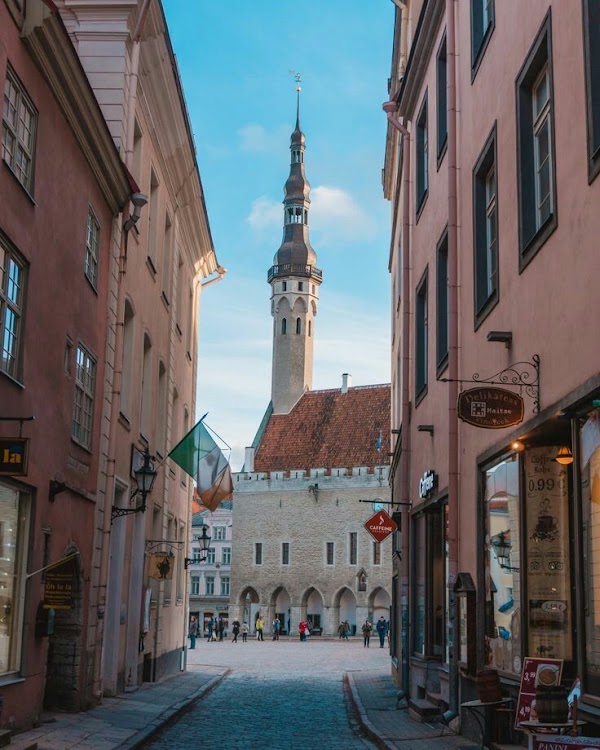 Tallinn Town Hall
