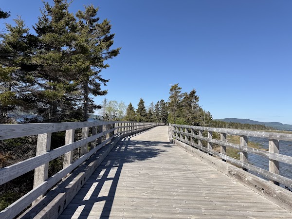 La Taïga trail