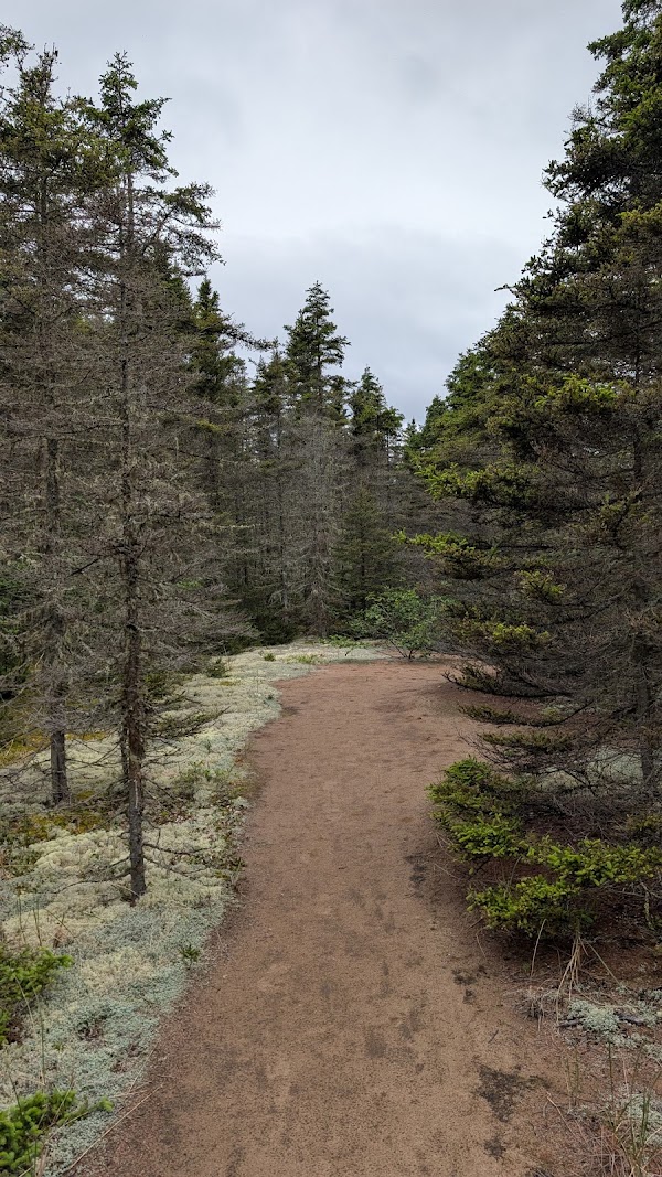 La Taïga trail