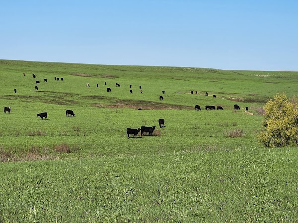 Tallgrass Prairie National Preserve