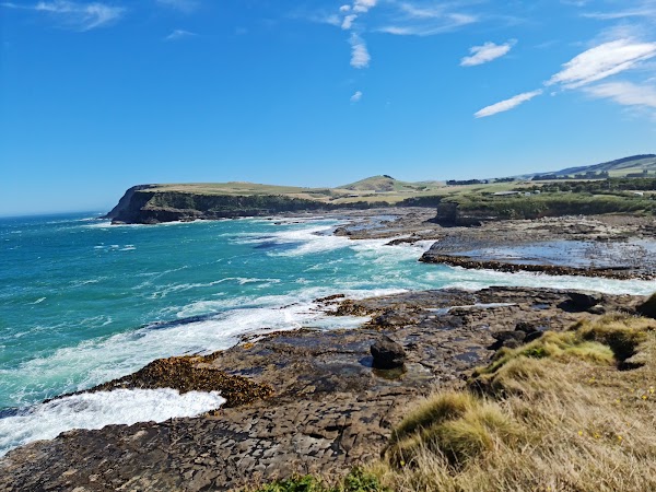 Curio Bay Cliffs