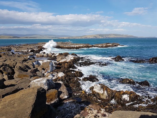 Curio Bay Cliffs