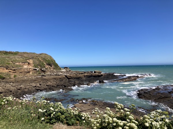 Curio Bay Cliffs