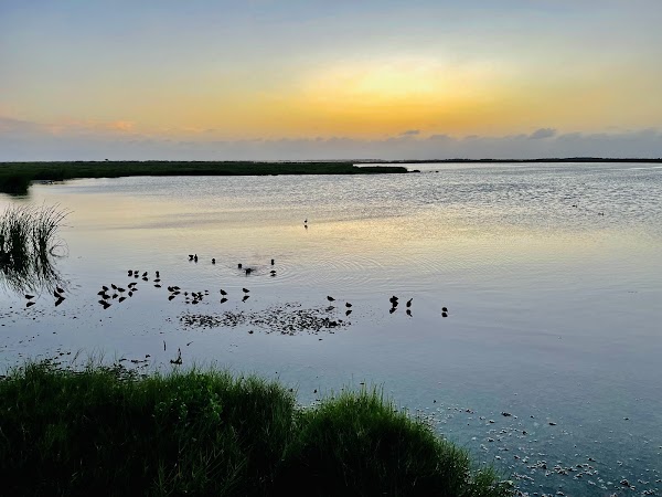 Leonabelle Turnbull Birding Center