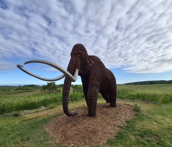 Horicon Marsh Education and Visitor Center