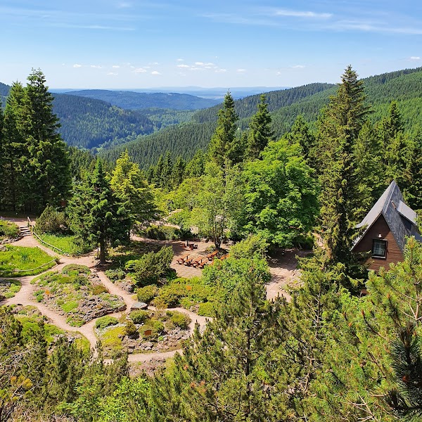Rennsteiggarten Oberhof