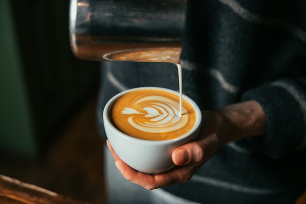 CUP & SAUCER