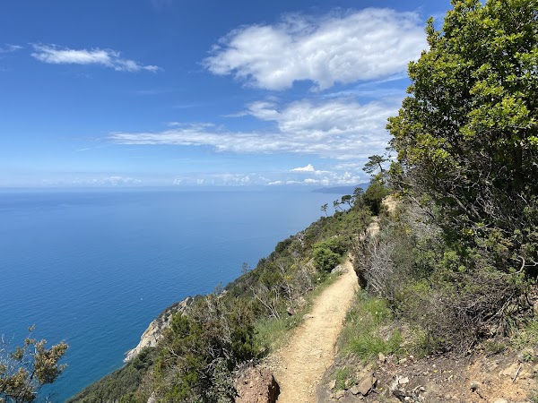 Sentiero SVA Levanto-Monterosso