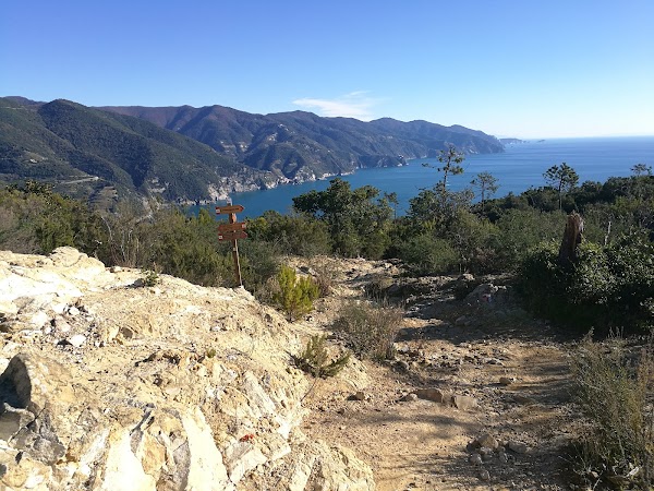 Sentiero SVA Levanto-Monterosso