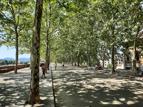 Mura di Lucca