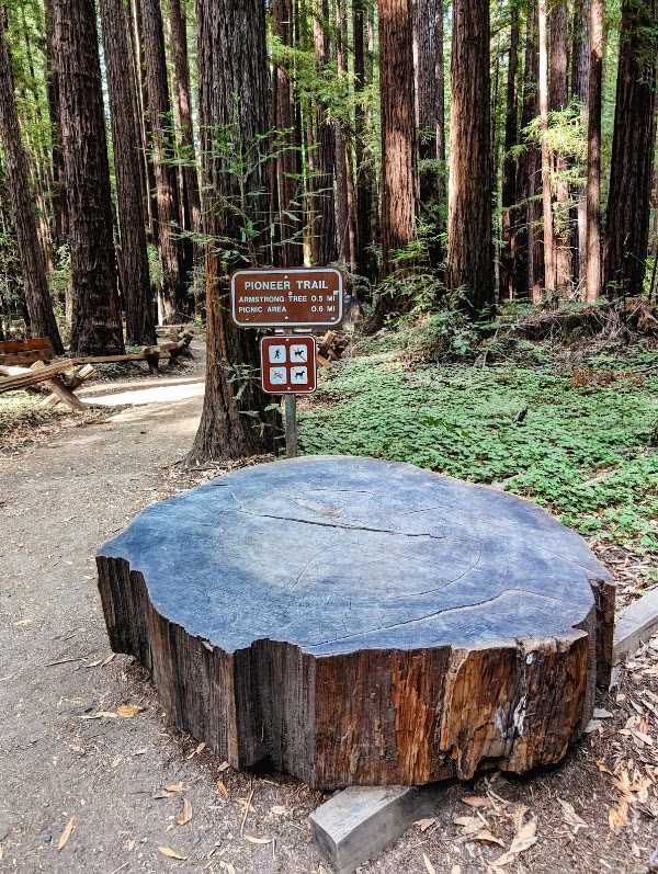 Armstrong Redwoods State Natural Reserve