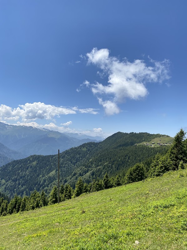 Pokut Yaylası