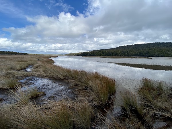 Tautuku Estuary Walkway
