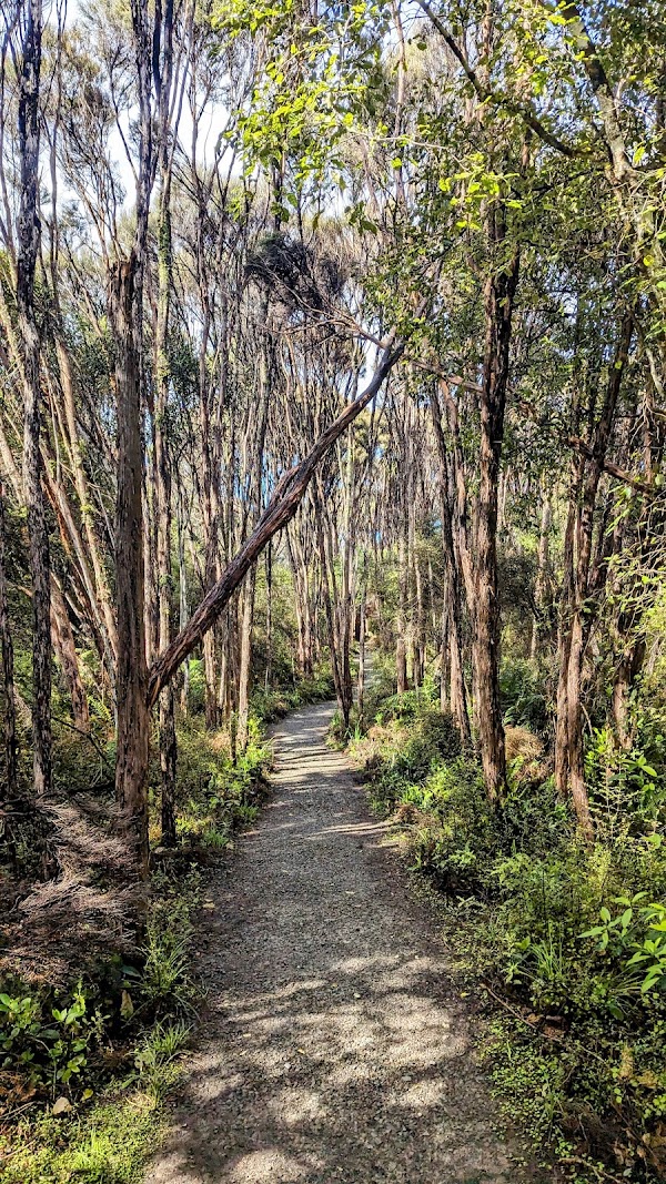 Tautuku Estuary Walkway