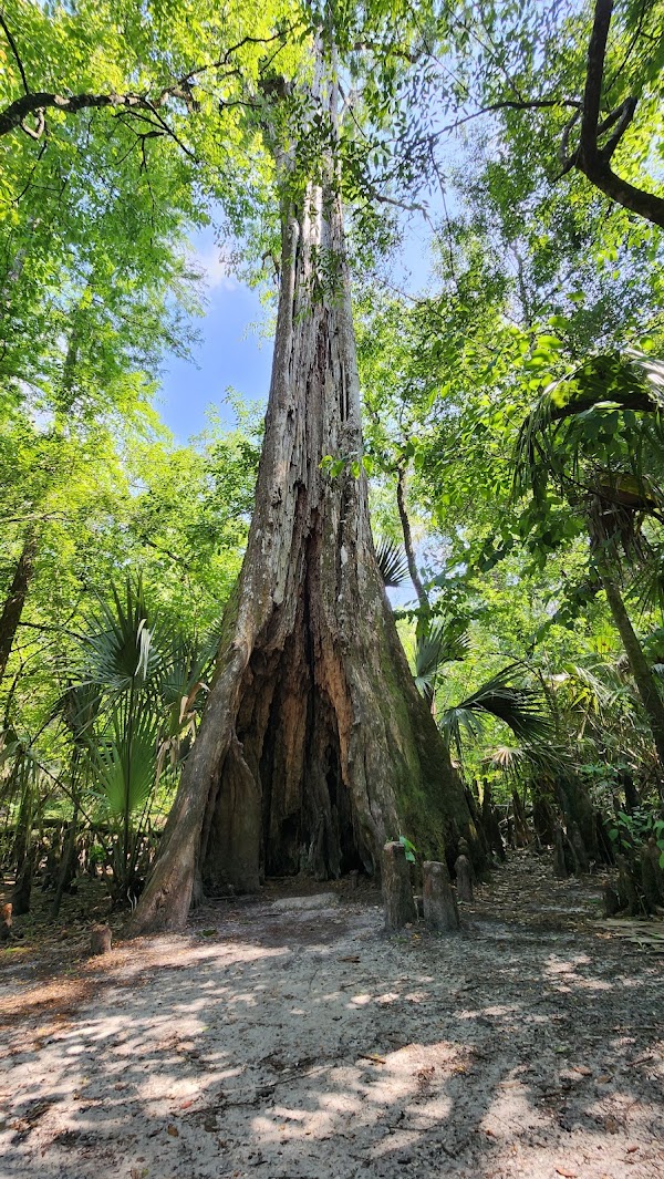 Hillsborough River State Park