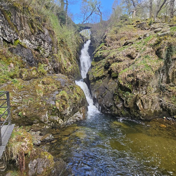 Aira Force