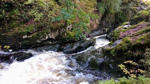 Aira Force