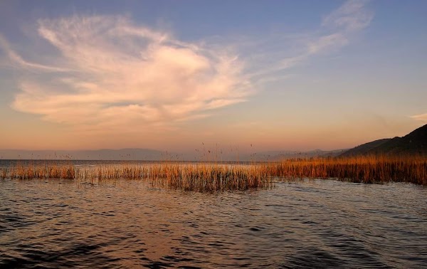 İznik Gölü