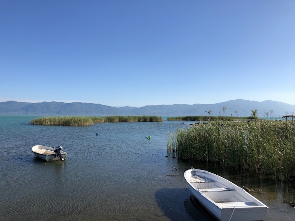 İznik Gölü
