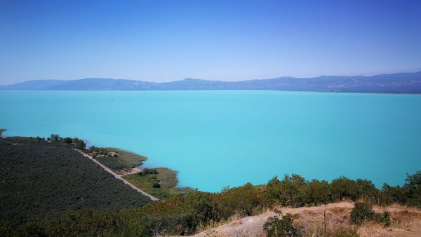 İznik Gölü