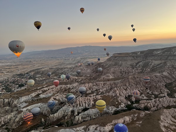 Butterfly Balloons