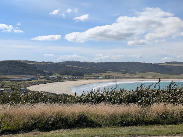 Petrified Forest Curio Bay