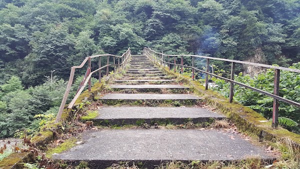 Şenyuva Köprüsü