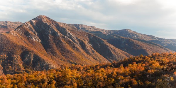 Reserva Nacional Altos de Lircay
