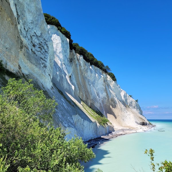 Møns Klint