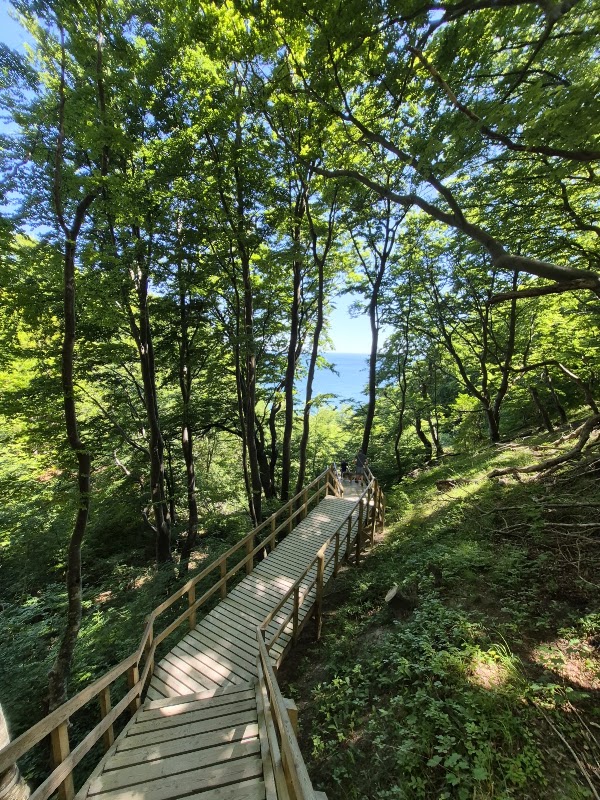 Møns Klint