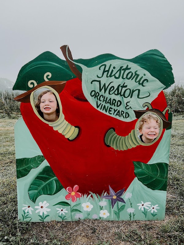 Historic Weston Orchard & Vineyard