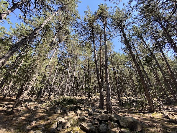 Aluçdagı National Park