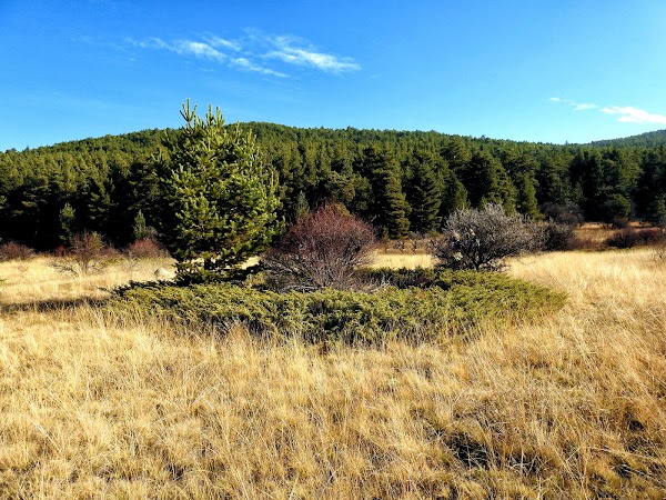 Aluçdagı National Park