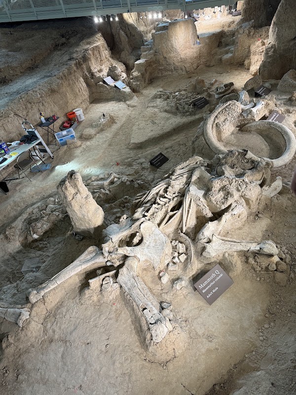 Waco Mammoth National Monument