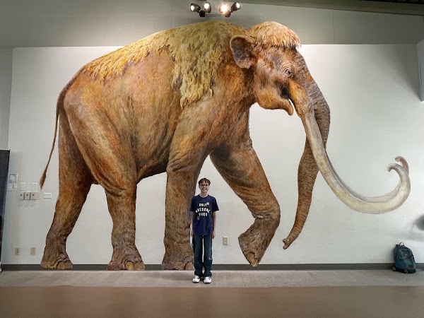 Waco Mammoth National Monument