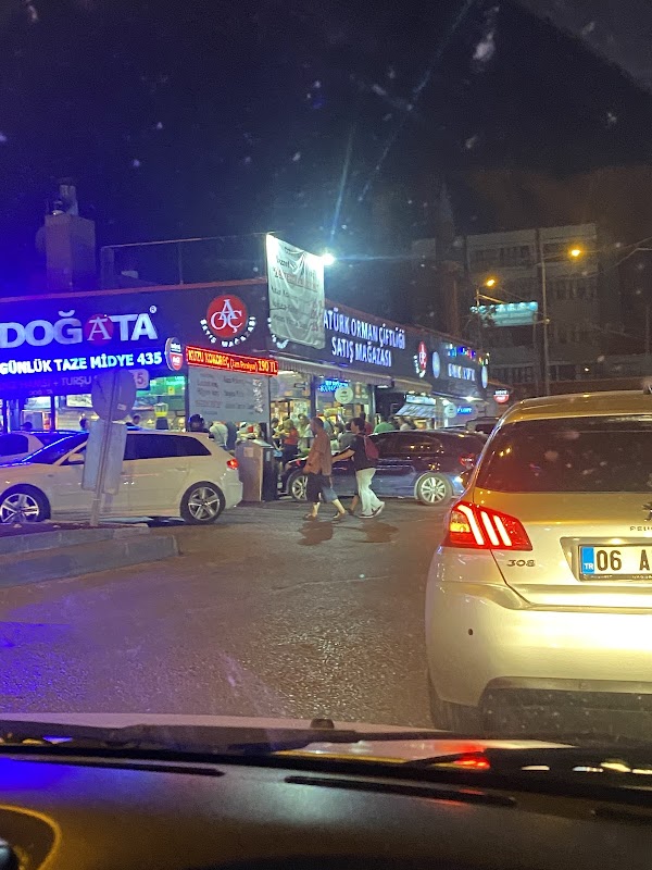 Atatürk Orman Çiftliği