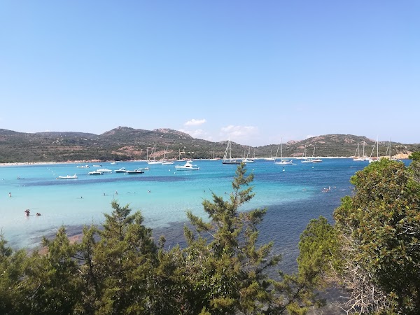 Beach Rondinara