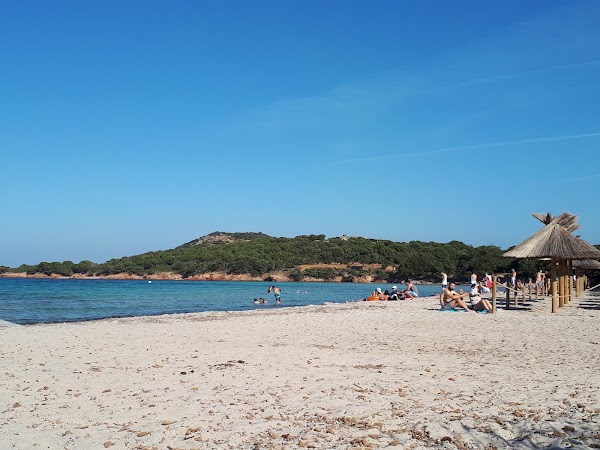 Beach Rondinara