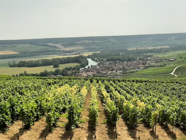 Hautvillers