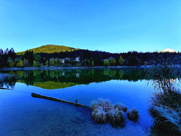 Wildsee