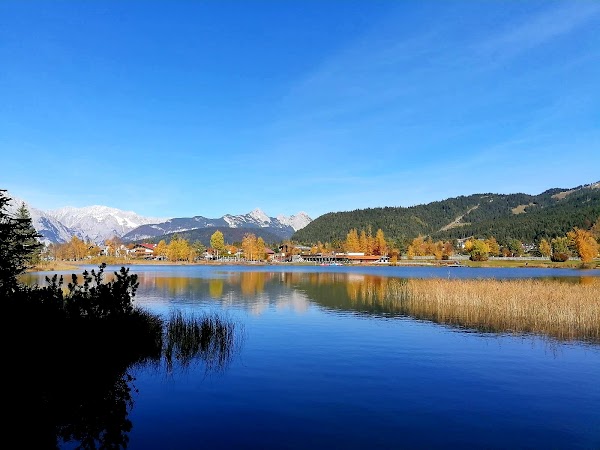 Wildsee