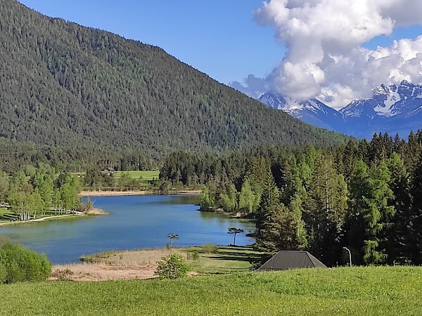Wildsee